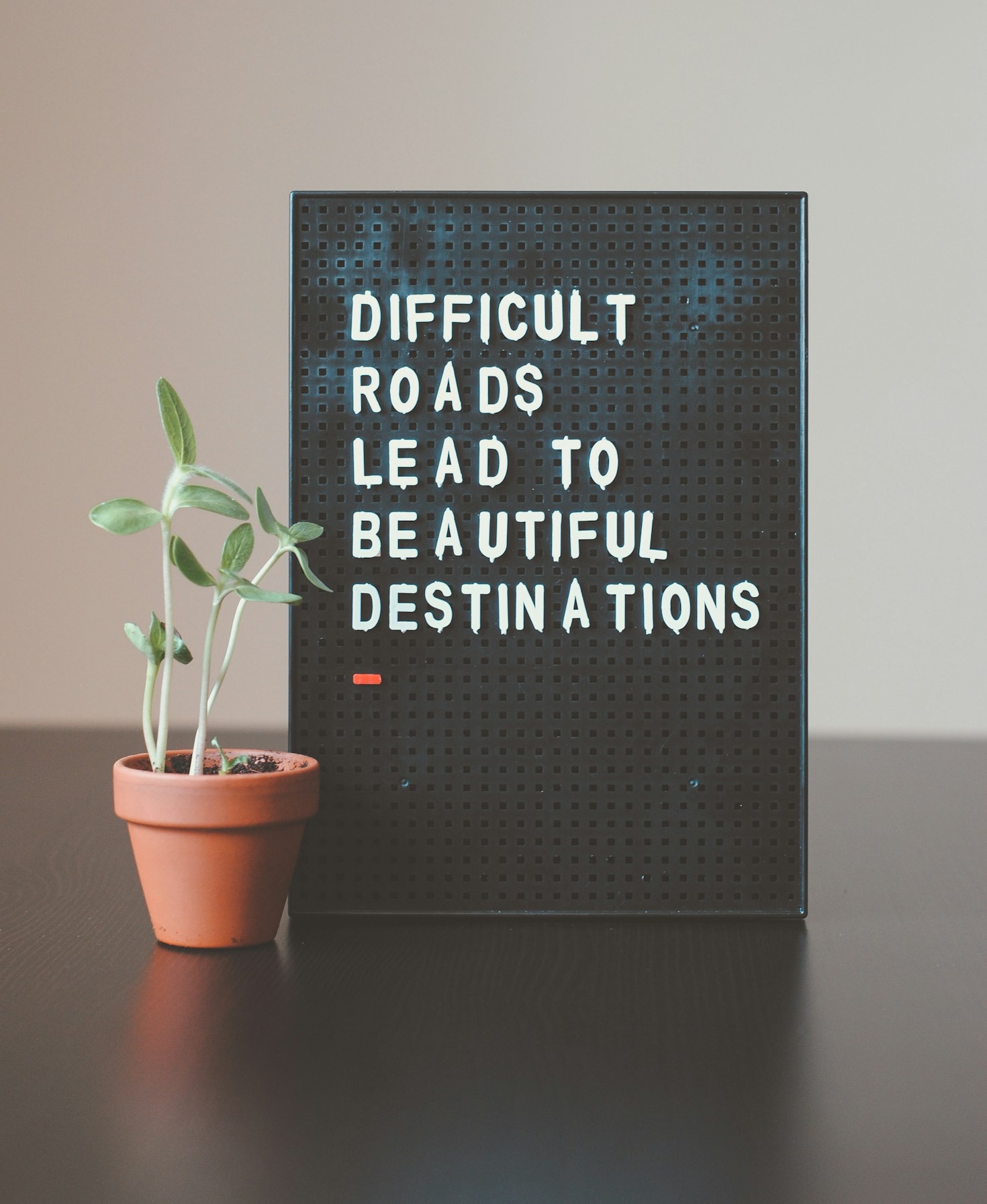 Overcoming Challenges: Stories of Growth